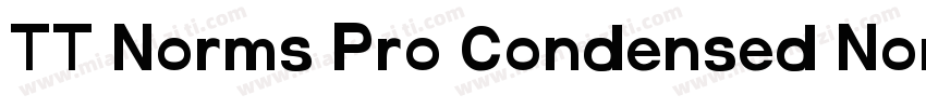TT Norms Pro Condensed Normal字体转换